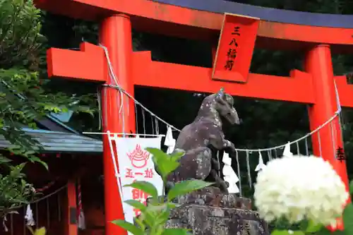 神炊館神社 ⁂奥州須賀川総鎮守⁂の末社