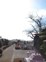 真光寺(千葉県)