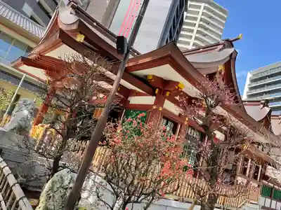 蒲田八幡神社の本殿・本堂