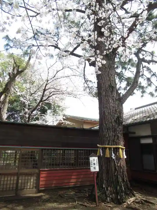 前原御嶽神社(千葉県)