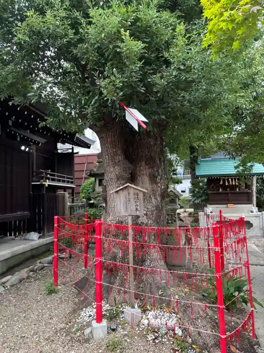 三輪神社(愛知県)