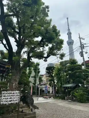 高木神社(東京都)