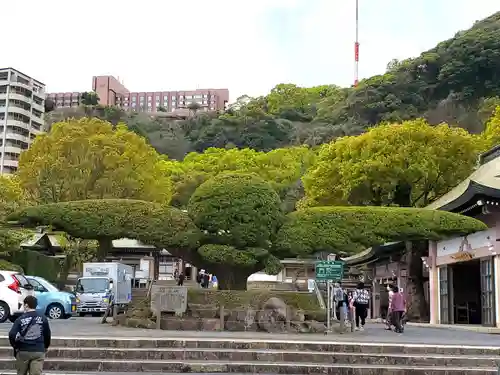 照國神社の自然
