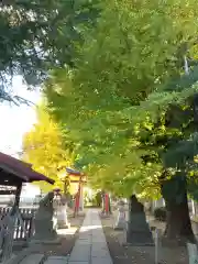 鷲宮神社の鳥居