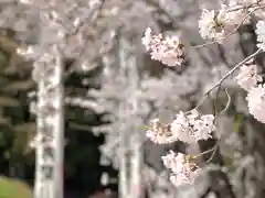 子檀嶺神社の自然