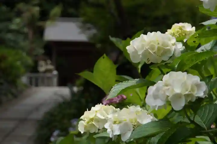 葛原岡神社(神奈川県)