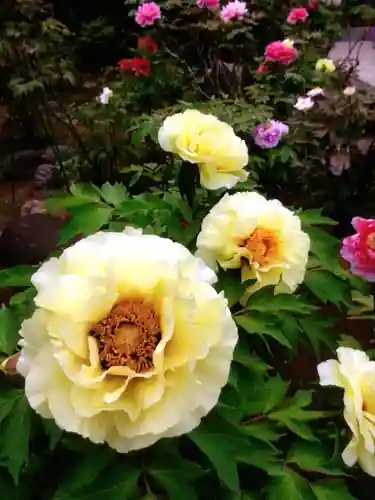 禅定院(東京都)