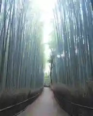 野宮神社の建物その他