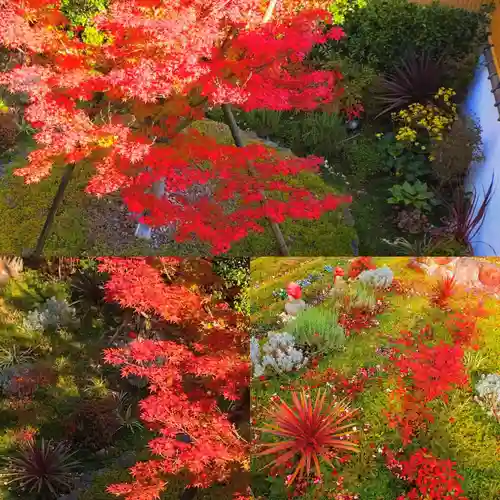 寿量山　速成寺の自然