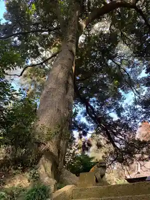 若宮神社(千葉県)