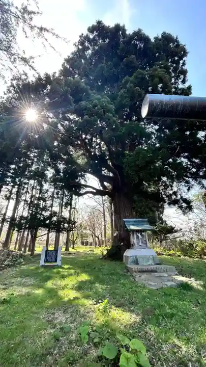 荒神社(北海道)