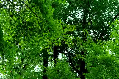 針名神社(愛知県)