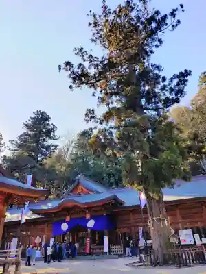 穂高神社本宮(長野県)