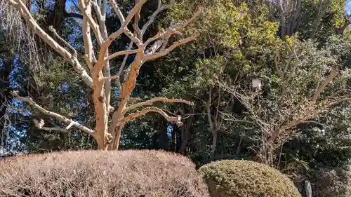 歓喜院本坊の庭園