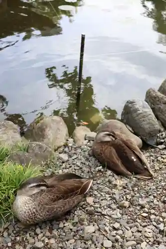 圓照寺(埼玉県)