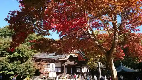 深大寺の本殿・本堂