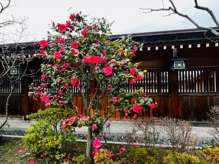 新潟縣護國神社(新潟県)