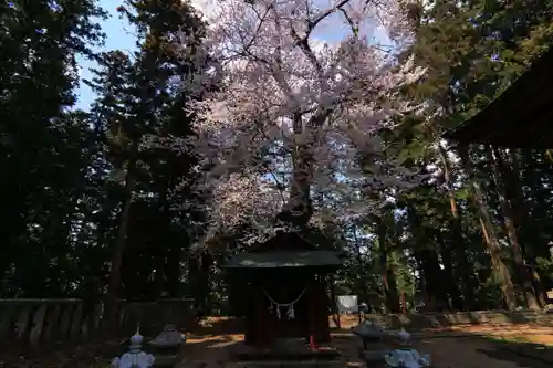 田村神社の歴史