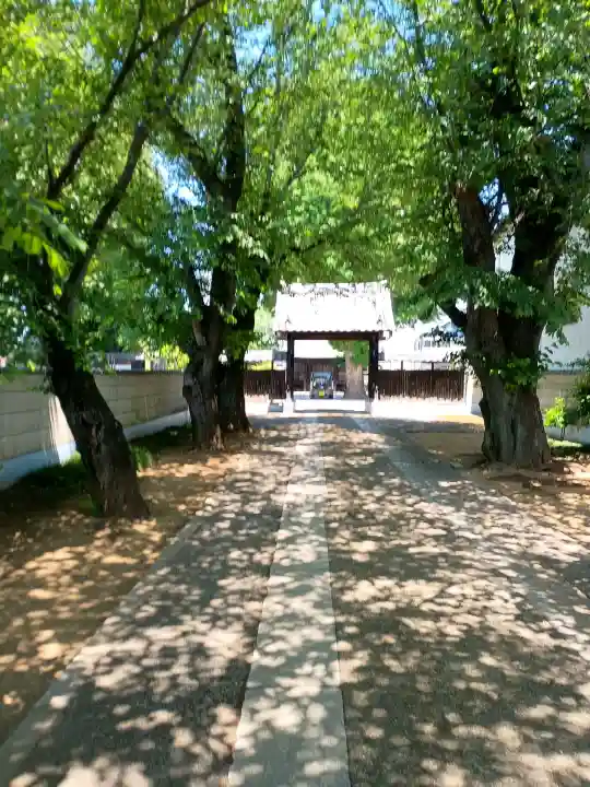 大興寺の{uncategorized: "未分類", other: "その他", undefined: "問題あり", building: "その他建物", grave: "お墓", sacred_gate: "鳥居", guardian: "狛犬", statue: "像", buddha: "仏像", history: "歴史", nature: "自然", garden: "庭園", animal: "動物", pagoda: "塔", temizu: "手水舎", mountain_gate: "山門・神門", sanctuary: "本殿・本堂", subordinate: "末社・摂社", art: "芸術", scenery: "景色", jizo: "地蔵", ema: "絵馬", goshuin: "御朱印", omikuji: "おみくじ", items: "授与品その他", amulet: "お守り", goshuincho: "御朱印帳", eats: "食事", festival: "お祭り", votive_dance: "神楽", shichigosan: "七五三参", wedding: "結婚式", experience: "体験その他", initially: "初詣", around: "周辺", anti_infection: "感染症対策"}