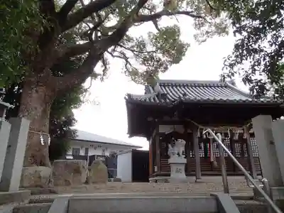 常世岐姫神社の本殿・本堂