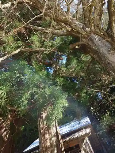 大野瀬神社(愛知県)