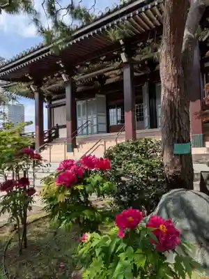 圓照寺(東京都)
