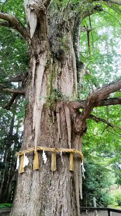 水戸八幡宮(茨城県)
