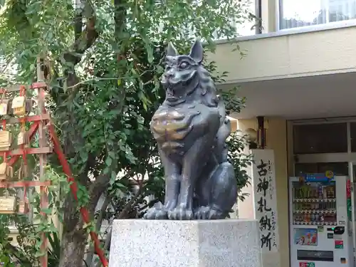 稲毛神社の狛犬