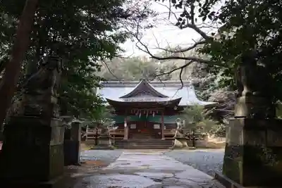 天石門別八倉比売神社(徳島県)