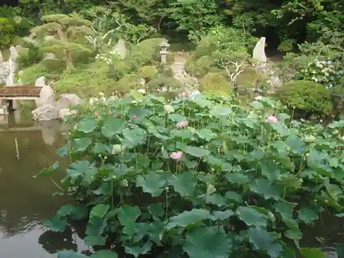 光明寺の庭園