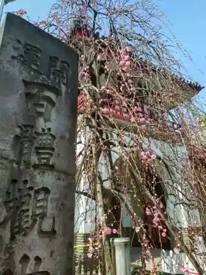 成願寺(東京都)