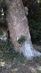 熊野神社の建物その他