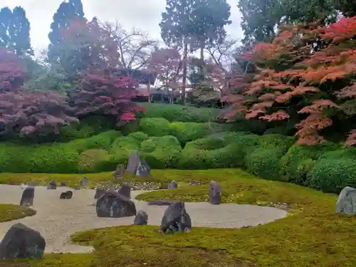 光明院（光明禅院）(京都府)
