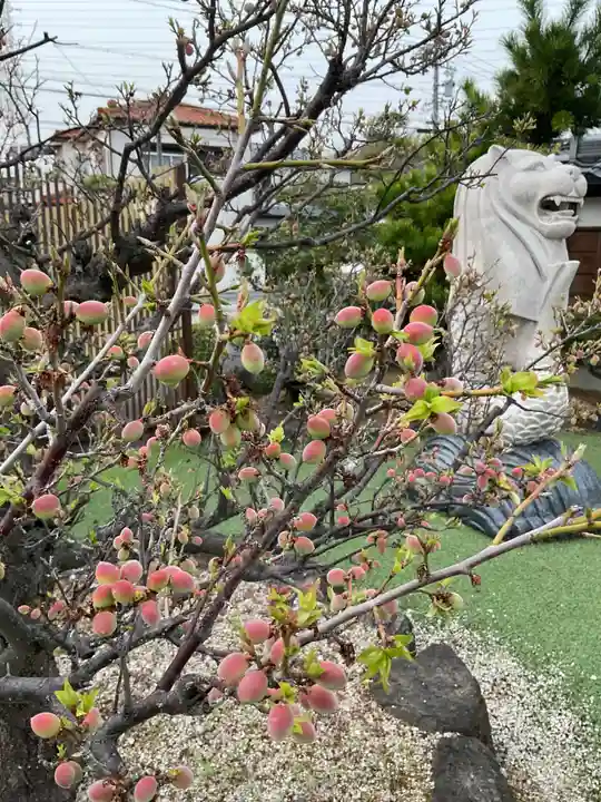 妙淵寺(愛知県)