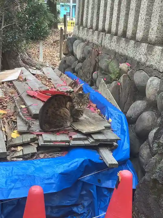 水野社の動物