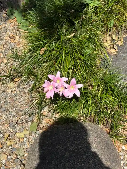 三輪神社(愛知県)