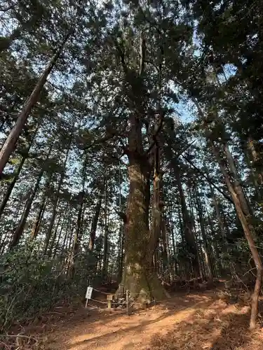 智満寺(静岡県)