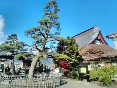 妙遠寺の本殿・本堂