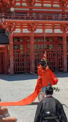 賀茂御祖神社（下鴨神社）(京都府)
