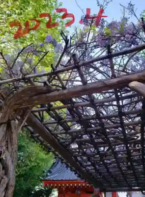 藤神稲荷神社(東京都)