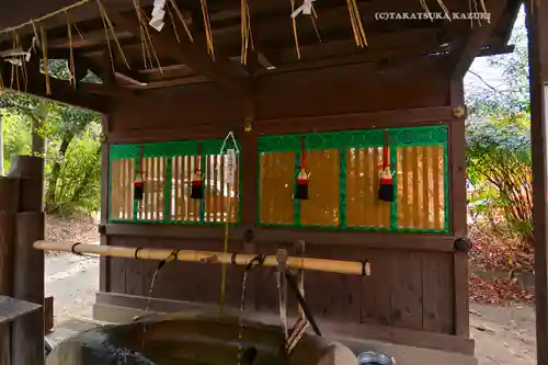 賀茂御祖神社（下鴨神社）(京都府)