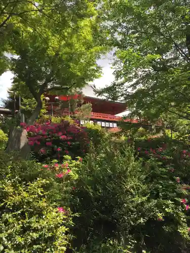 清水観音堂の本殿・本堂