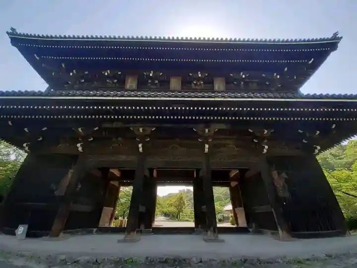 根来寺 大門の{uncategorized: "未分類", other: "その他", undefined: "問題あり", building: "その他建物", grave: "お墓", sacred_gate: "鳥居", guardian: "狛犬", statue: "像", buddha: "仏像", history: "歴史", nature: "自然", garden: "庭園", animal: "動物", pagoda: "塔", temizu: "手水舎", mountain_gate: "山門・神門", sanctuary: "本殿・本堂", subordinate: "末社・摂社", art: "芸術", scenery: "景色", jizo: "地蔵", ema: "絵馬", goshuin: "御朱印", omikuji: "おみくじ", items: "授与品その他", amulet: "お守り", goshuincho: "御朱印帳", eats: "食事", festival: "お祭り", votive_dance: "神楽", shichigosan: "七五三参", wedding: "結婚式", experience: "体験その他", initially: "初詣", around: "周辺", anti_infection: "感染症対策"}