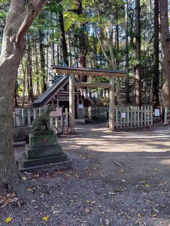 宝登山神社(埼玉県)