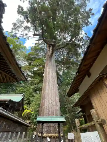 事任八幡宮(静岡県)