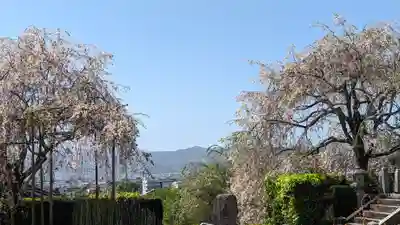 圓光寺(京都府)