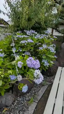 大松禅寺(京都府)