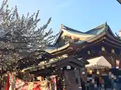 湯島天満宮の本殿