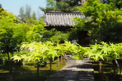 鹿王院(京都府)