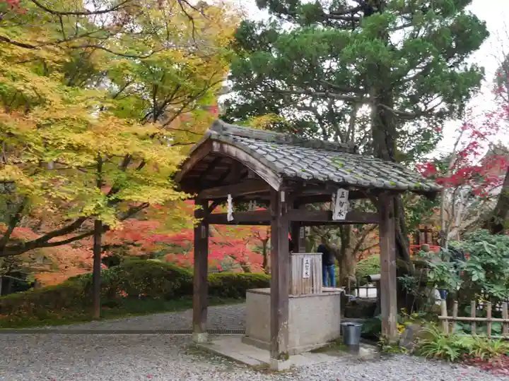 今熊野観音寺の手水舎